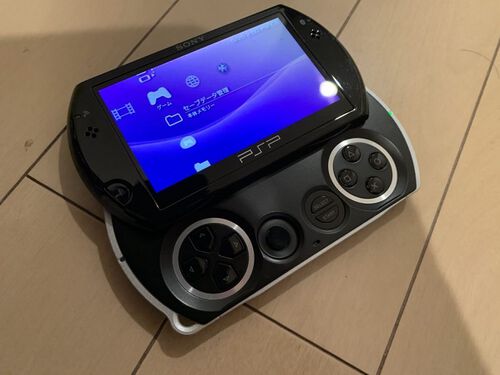 PSP-Strider PVT black front.jpg